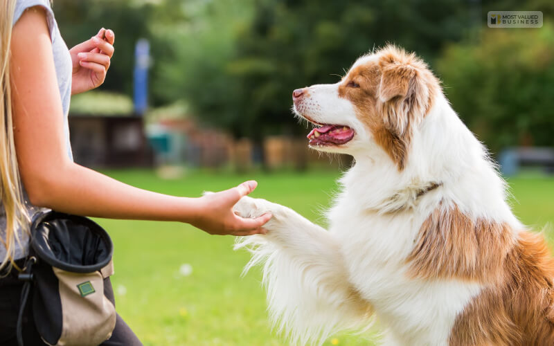 Operant Conditioning