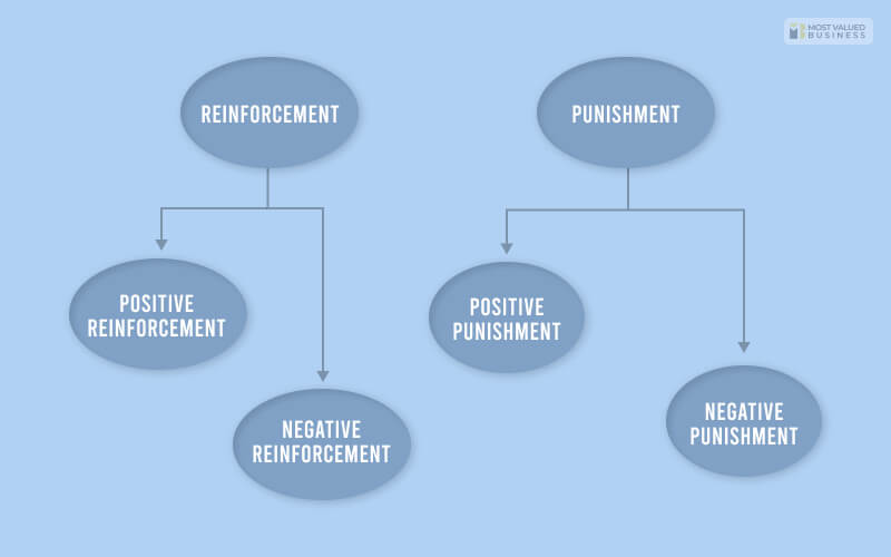 Reinforcement and Punishment