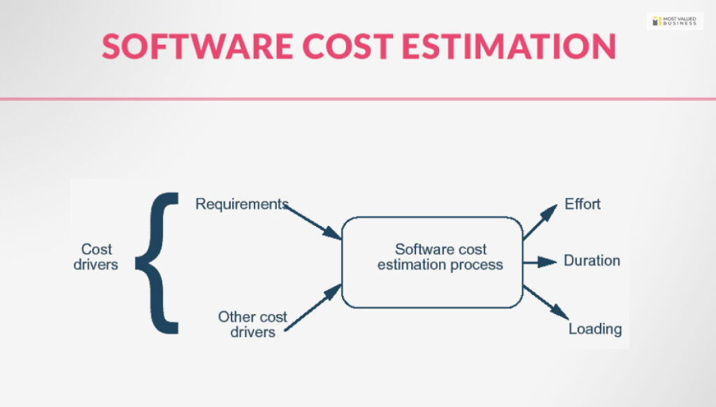 Software cost