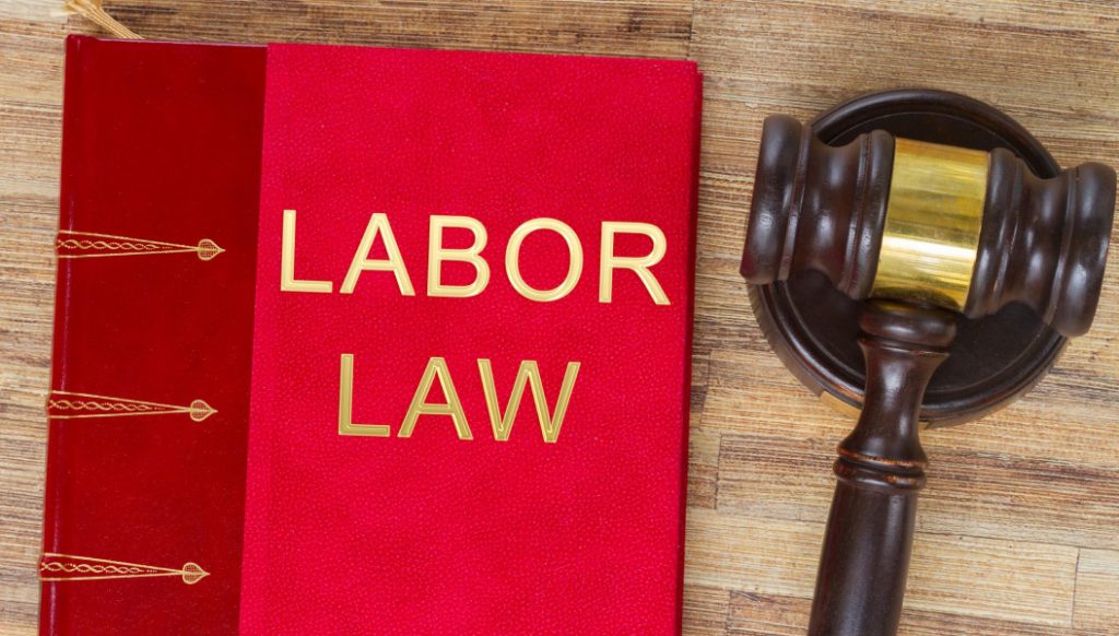 Labor Laws and Employment Rights