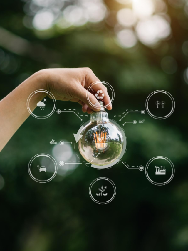 Businesses Will Become More Sustainable in Future