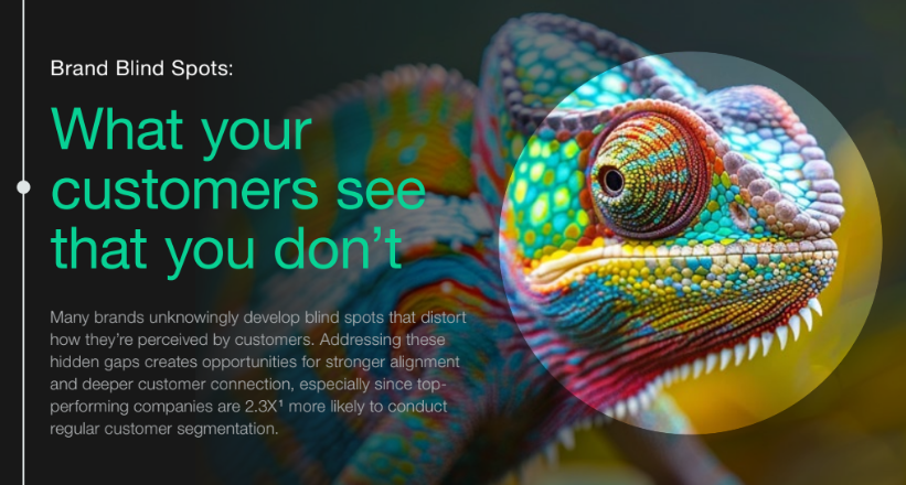 Branding Blind Spots