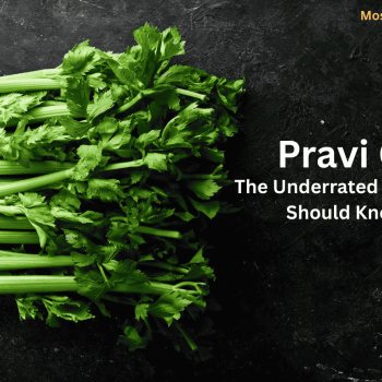 Pravi Celer